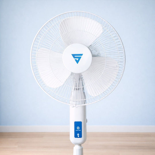 Superfan Super Visiree (Pedestal)